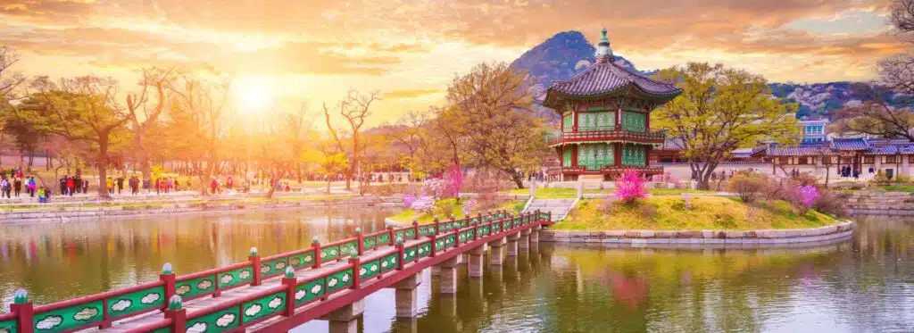 Kuliah di Korea Selatan - Woosong University - Education Republic Cellar Asia South Korea Wine Market Report 1920X700 40 - Education Republic