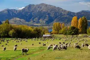 8a2884c97da3aabad00596160eb5f23b - Education Republic 8A2884C97Da3Aabad00596160Eb5F23B - Education Republic