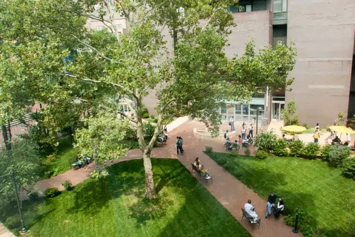 KENAPA KULIAH DI LONG ISLAND UNIVERSITY BROOKLYN, USA? - Education Republic Liu Brooklyn Student Life Undergraduate Students Around Campus 029 E1624423913219 - Education Republic