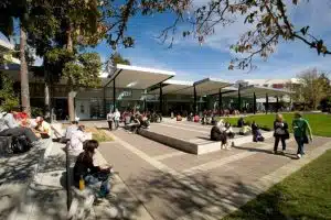 anak-rantau-university-of-waikato - Education Republic Anak Rantau University Of Waikato - Education Republic