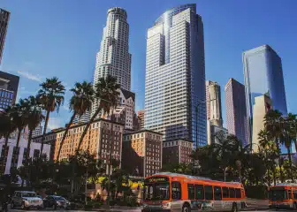 American Collegiate La - Education Republic