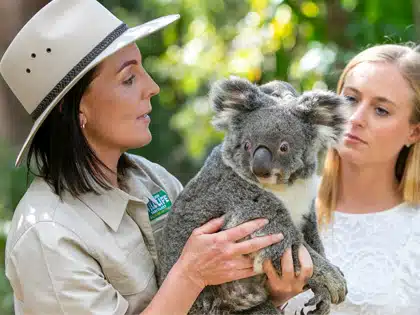 Beasiswa Welcome to Queensland Griffith College - Education Republic Benefit Griffith College - Education Republic