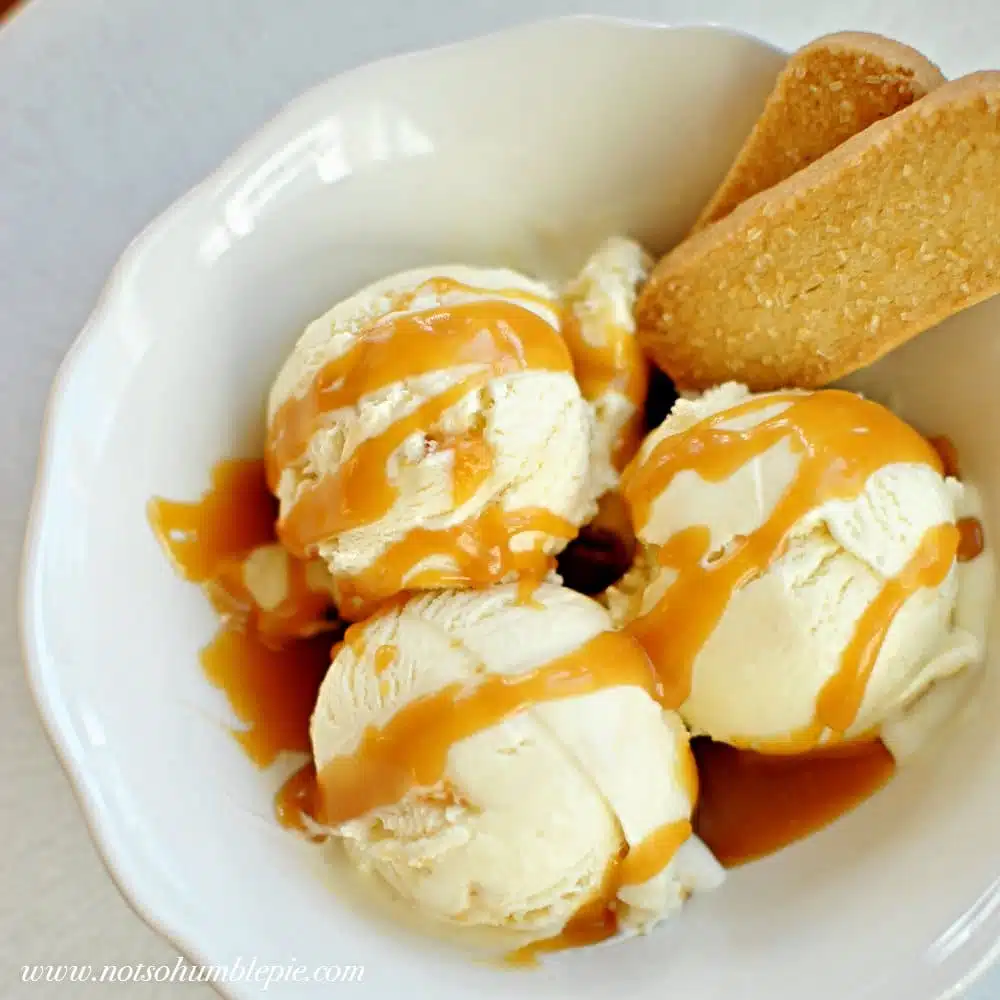 Top 10 Makanan Khas Selandia Baru yang Wajib Kamu Coba - Education Republic Hokey Pokey - Education Republic