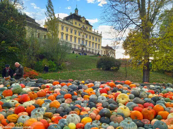 Perayaan Halloween di Seluruh Dunia - Education Republic Jerman - Education Republic