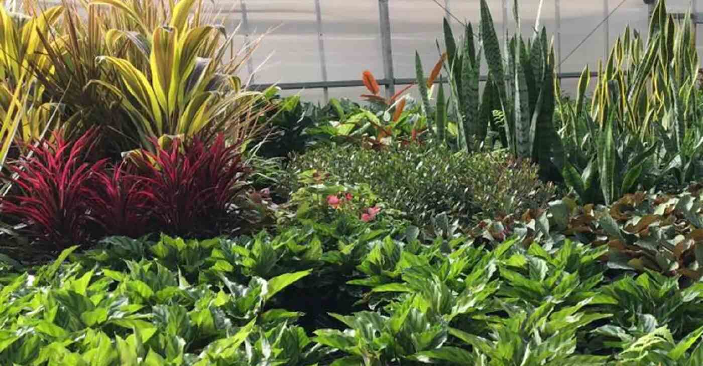 Fasilitas Kampus Melbourne Polytechnic - Education Republic Pelayanan - Education Republic