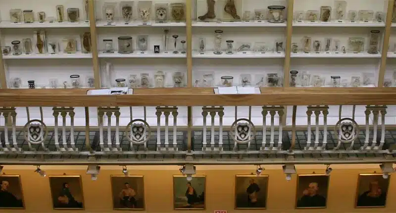 Kenapa Kamu Harus Kuliah di King's College London? - Education Republic Arts Sciences - Education Republic