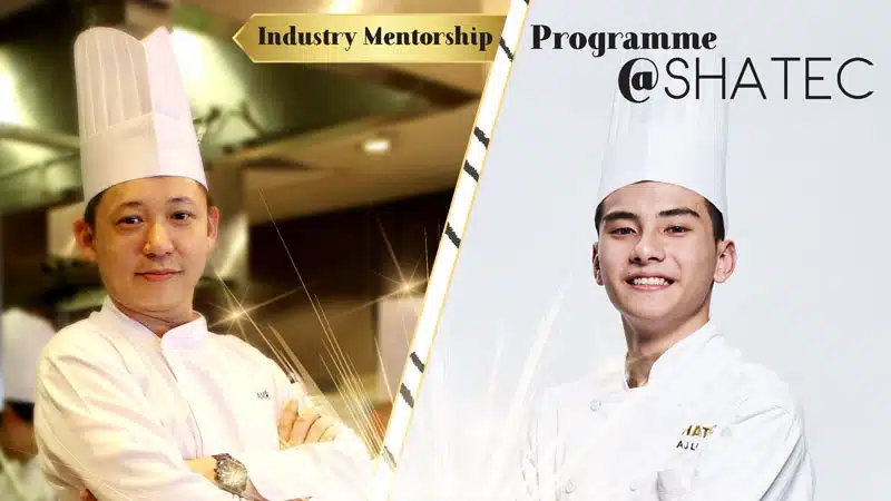 Informasi Penerimaan dan Magang di Kampus SHATEC Singapore - Education Republic Syarat Masuk Dan Biaya Kuliah - Education Republic