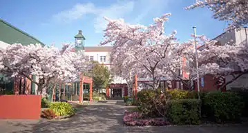 Southern Institute of Technology (SIT) Siapkan Beasiswa Untuk Mahasiswa 2024 - Education Republic English Language Tuition - Education Republic