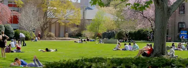 Hofstra University: Kampusnya Sutradara The Godfather, Francis Ford Coppola! - Education Republic 44 - Education Republic