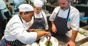 William Blue College of Hospitality Management as part of Torrent University - Education Republic 3 10 - Education Republic