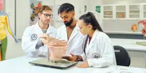 Deakin University Masuk Top Dunia! Inilah Fakta Ranking Terbarunya 2025 - Education Republic 4 2 - Education Republic