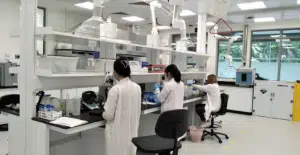 Panduan Lengkap NUS 2025: Ranking #1 di Asia, Jurusan Favorit & Beasiswa! - Education Republic Jurusan Populer Di Nus 2025 - Education Republic