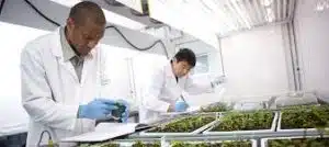 Seperti Apa Fasilitas Kampus Western University Canada? Intip Keunggulannya yang Bikin Betah Kuliah di Kanada! - Education Republic Mahasiswa Internasional Melakukan Riset Di Biotron, Robarts Institute, Dan Fasilitas Nano Western University Canada