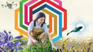 Program Co-op University of Victoria (UVic): Belajar, Bekerja, dan Berkarir di Kanada - Education Republic University Of Victoria Ranking And Reputation 2025 Education Republic - Education Republic